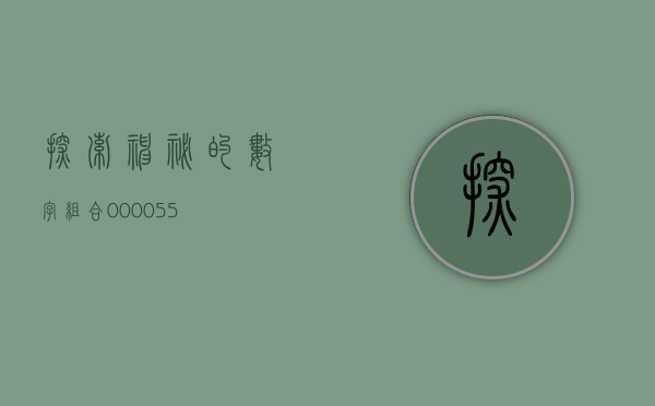 探索神秘的数字组合，000055