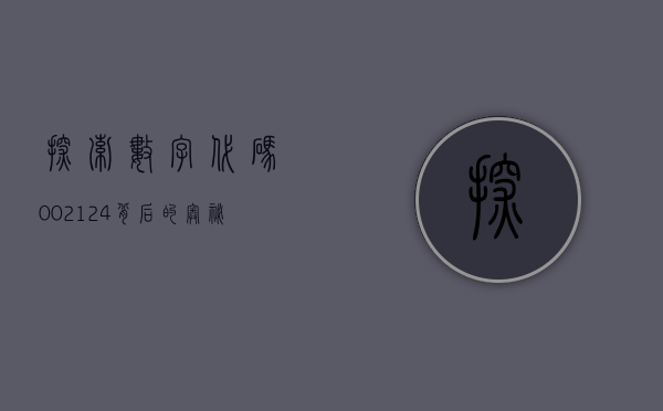 探索数字代码，002124背后的奥秘