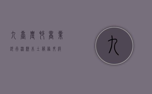 九台农村商业银行，深耕本土，服务升级，共创美好未来