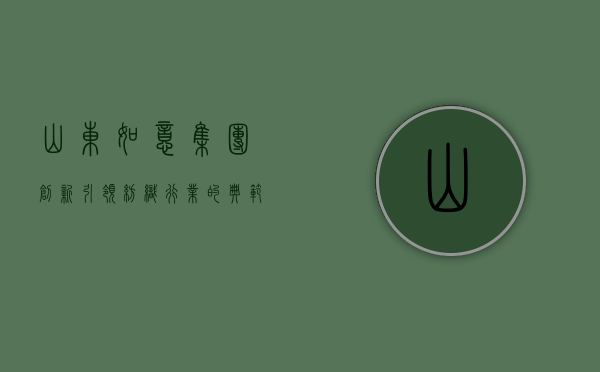 山东如意集团，创新引领纺织行业的典范