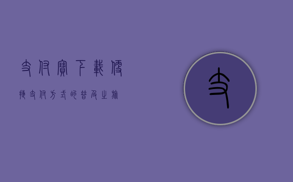 支付宝下载，便捷支付方式的普及之旅