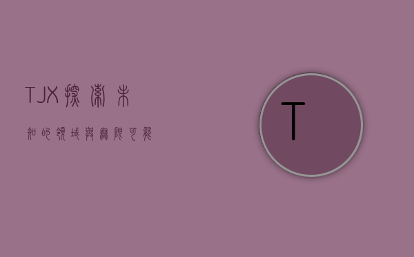 TJX，探索未知的领域与无限可能