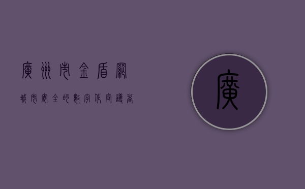 广州市金盾网，城市安全的数字化守护者