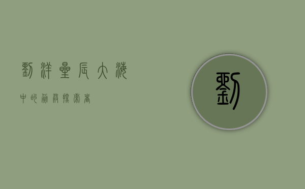 刘洋，星辰大海中的勇敢探索者