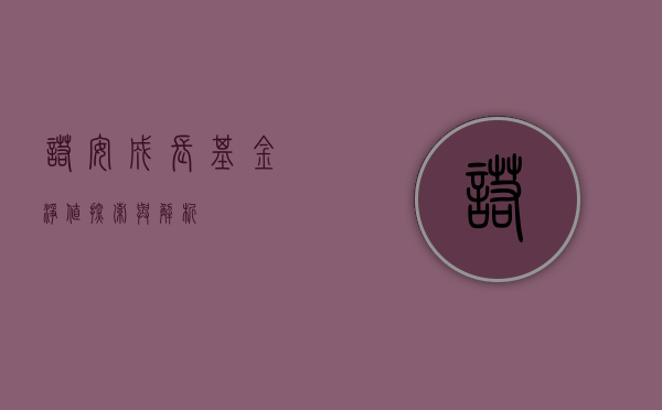 诺安成长基金净值，探索与解析