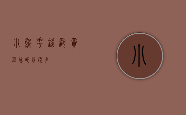 小鹅花钱，消费信贷的新视角