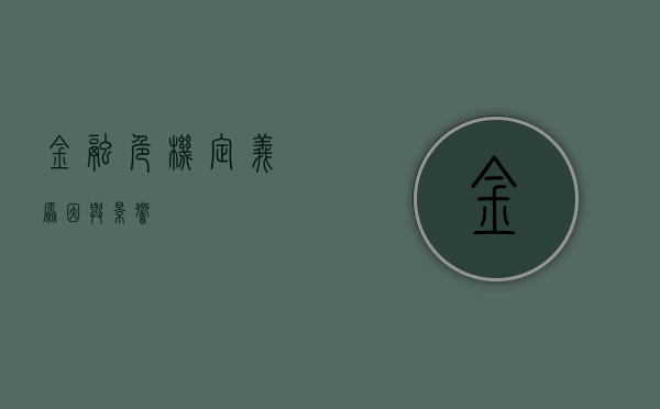 金融危机，定义、原因与影响
