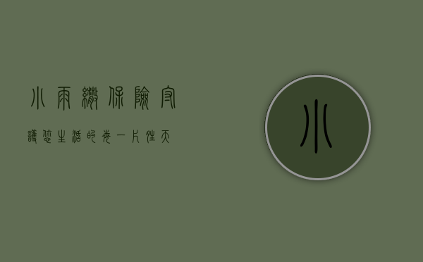 小雨伞保险，守护您生活的每一片晴天