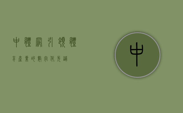 中体网，引领体育产业的数字化先锋