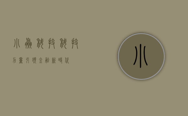 小赢科技，科技力量引领金融新时代