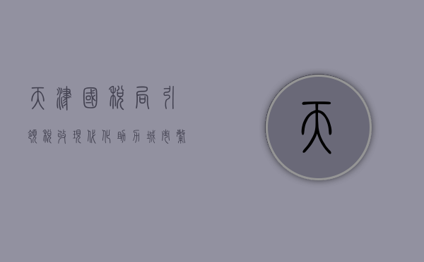 天津国税局，引领税收现代化，助力城市繁荣发展