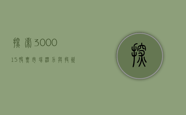 探索300015股票，市场潜力与未来展望