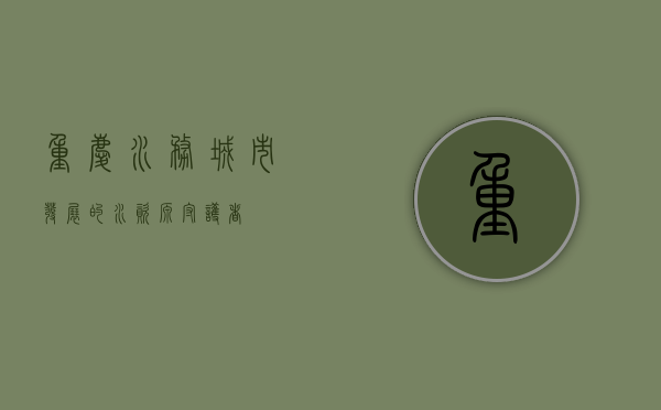 重庆水务，城市发展的水资源守护者