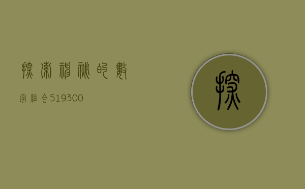 探索神秘的数字组合—519300
