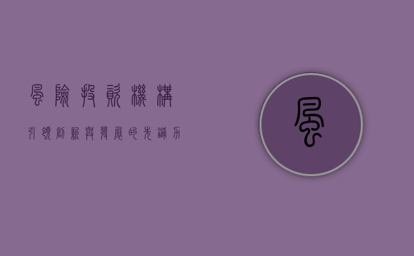 风险投资机构，引领创新与发展的先锋力量