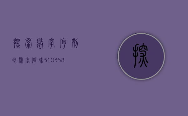 探索数字序列的秘密，解码310358