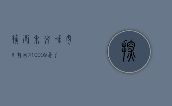 探索未来城市，以数字210009为引领的智慧城市蓝图