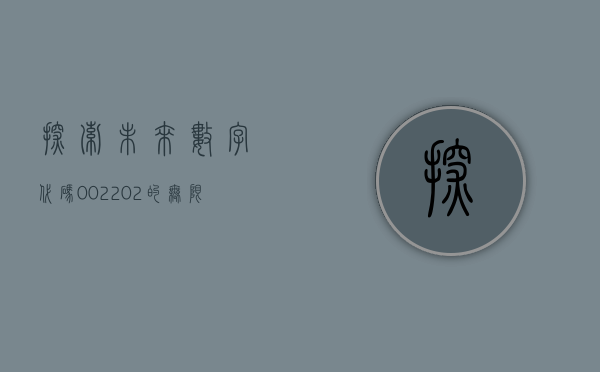 探索未来，数字代码002202的无限可能