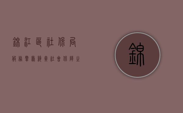 锦江区社保局，服务群众，筑牢社会保障之基