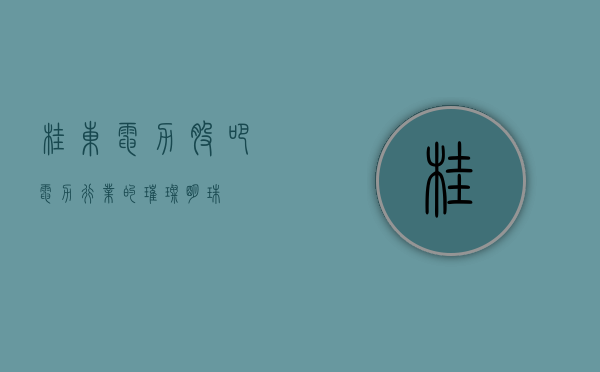 桂东电力股吧，电力行业的璀璨明珠