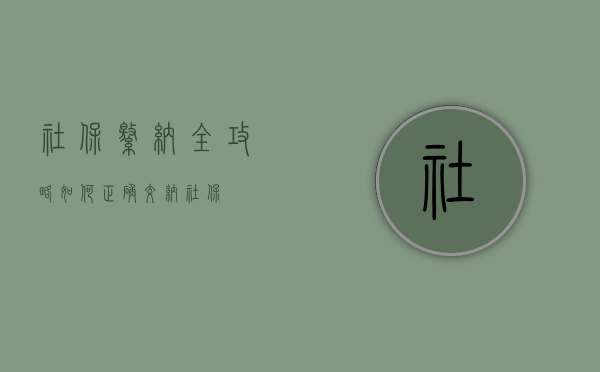 社保缴纳全攻略，如何正确交纳社保？