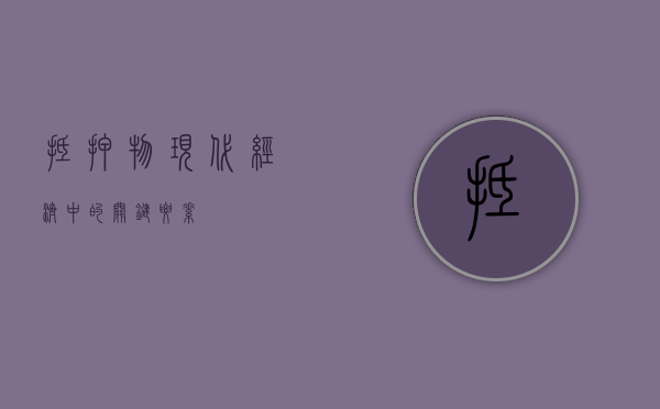 抵押物，现代经济中的关键要素