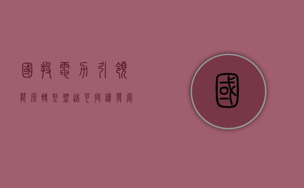 国投电力，引领能源转型，塑造可持续发展未来