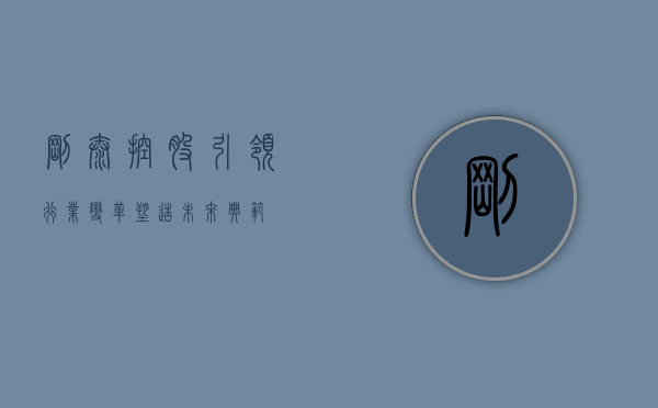 刚泰控股,引领行业变革,塑造未来典范