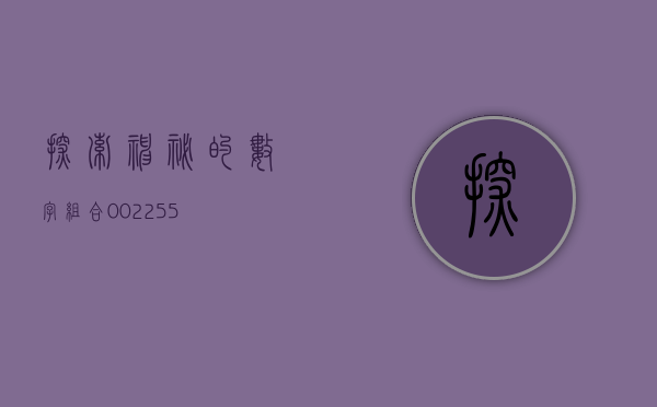 探索神秘的数字组合,002233