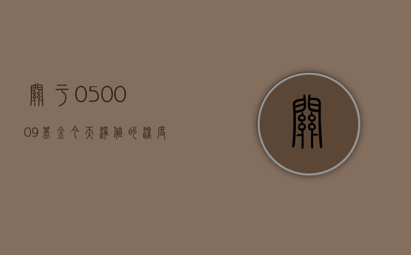 关于050009基金今天净值的深度解析