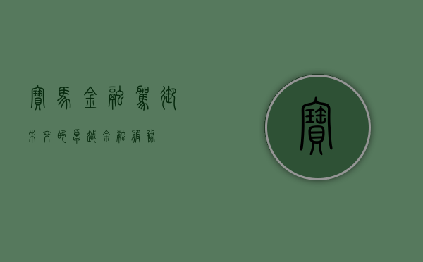 宝马金融，驾驭未来的卓越金融服务