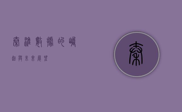 秦淮数据的崛起与未来展望