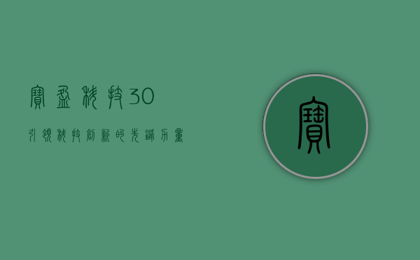 宝盈科技30，引领科技创新的先锋力量