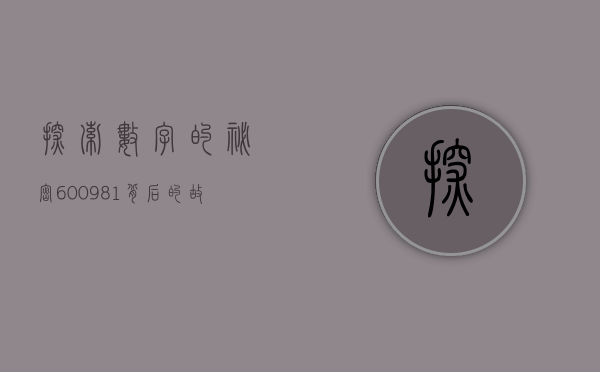 探索数字的秘密，600981背后的故事