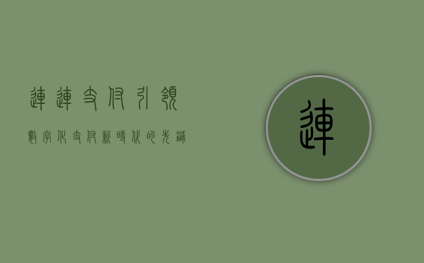 连连支付，引领数字化支付新时代的先锋