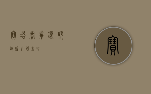 宝塔实业，铸就辉煌，引领未来