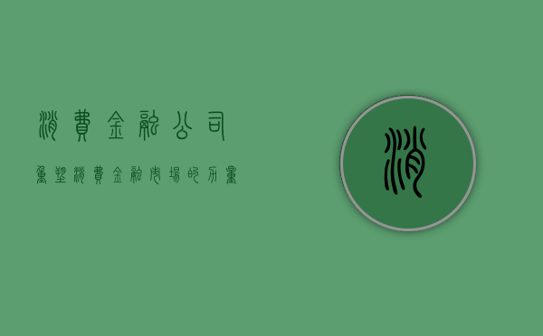 消费金融公司，重塑消费金融市场的力量