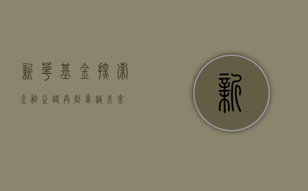 新华基金，探索金融之路，共创卓越未来
