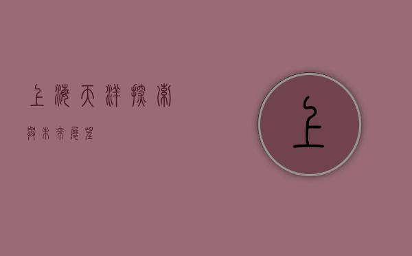 上海天洋,探索与未来展望