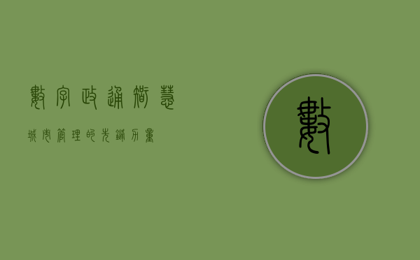 数字政通，智慧城市管理的先锋力量