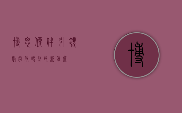博思软件，引领数字化转型的新力量