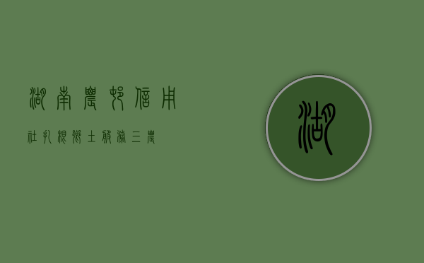 湖南农村信用社，扎根乡土，服务三农