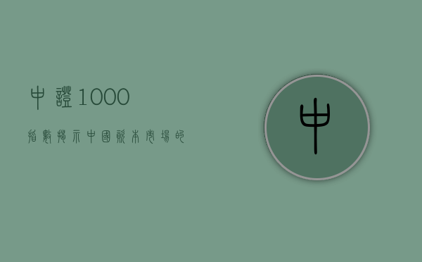 中证1000指数，揭示中国资本市场的活力与潜力