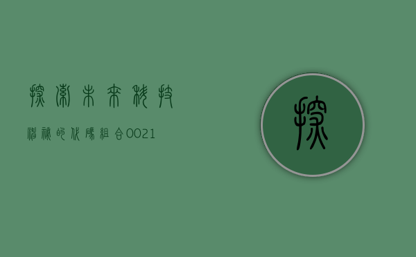 探索未来科技，神秘的代码组合 002110
