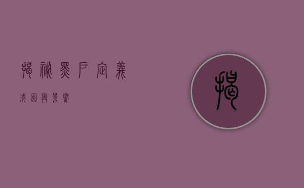 揭秘黑户，定义、成因与影响