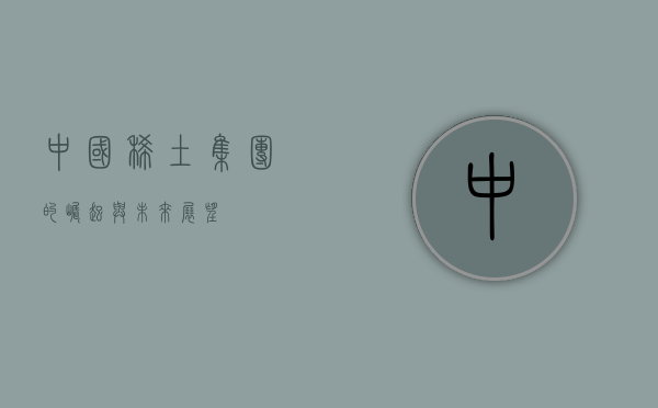 中国稀土集团的崛起与未来展望