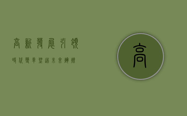 高新发展，引领时代变革，塑造未来辉煌