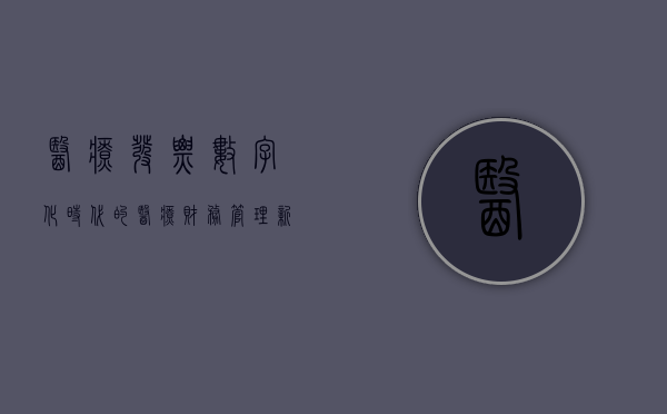 医疗发票，数字化时代的医疗财务管理新挑战与机遇