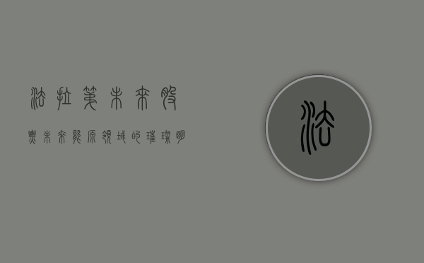 法拉第未来股票,未来能源领域的璀璨明星