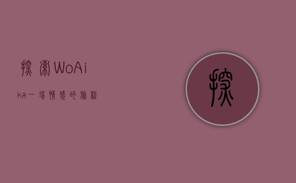 探索WoAika，一场情感的旅程